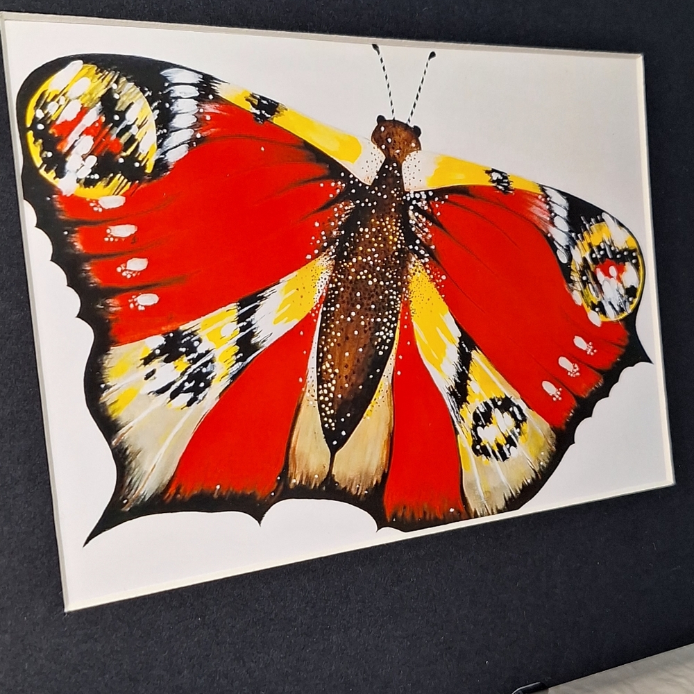 Colorful Moth 5x7 Photo 8x10 Mat by Jack E. Stiddard